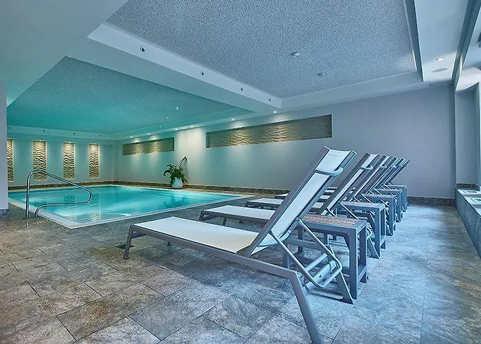 Schelf Gmbh & Co. Kg *